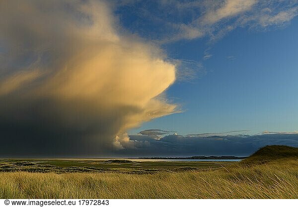 Dune Landscape with Thundercloud  Elbow  List  Sylt Island  Germany  Europe