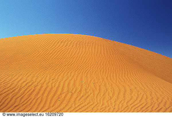 Dunes  Red Center  Northern Territory  Australia