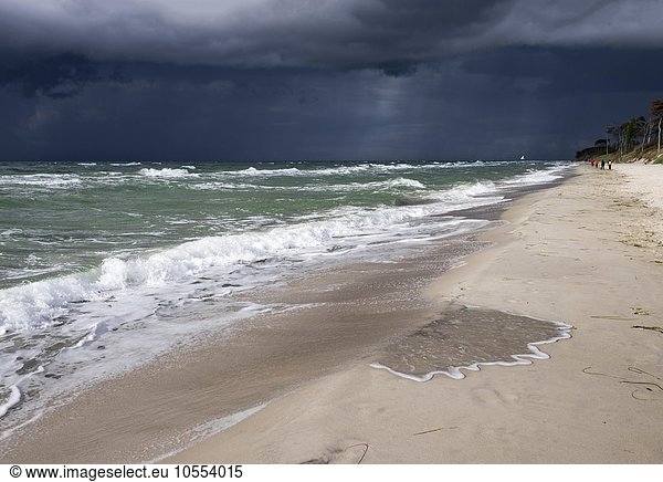 Dunkle Regenwolken über Weststrand an der Ostsee Born auf dem Darß Fischland-Darß-Zingst Nationalpark Vorpommersche Boddenlandschaft Mecklenburg-Vorpommern Deutschland Europa