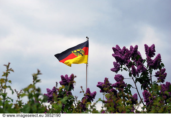 Dunkle Wolken über Deutschland  Deutschlandfahne zwischen Flieder  Symbolbild für Krisenstimmung