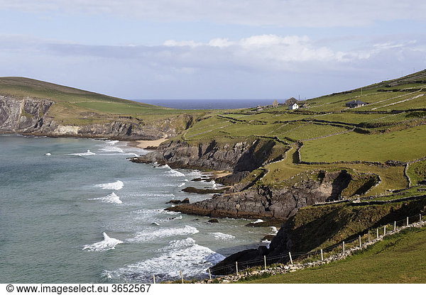Dunmore Head  Dingle Halbinsel  County Kerry  Irland  Britische Inseln  Europa