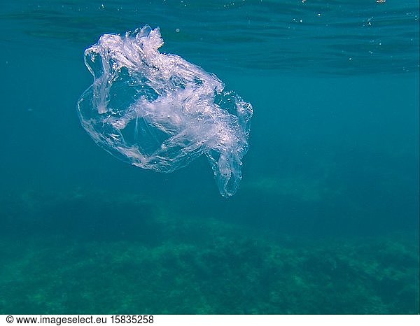 Durchsichtige Plastiktüte verschmutzt unsere Ozeane unter Wasser