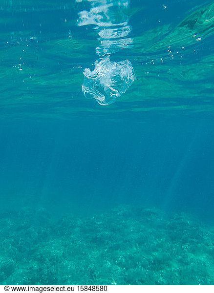 Durchsichtige Plastiktüte verschmutzt unseren Ozean