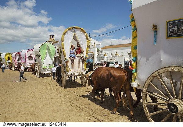 During a famous Pentecost pilgrimage the village of El Rocio converts into a colourful spectacle with beautifully decorated ox-carts  dressed up men and women wearing beautifully coloured gypsy dresses. Huelva province  Andalusia  Spain.