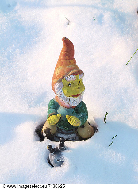 Dwarf  Midget  garden gnome  winters  snow  cold  covered  snail  ride