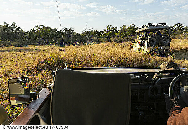 Early morning  sunrise on a wildlife reserve landscape  a safari jeep driving.