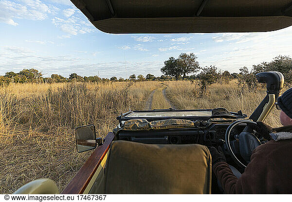 Early morning  sunrise on a wildlife reserve landscape  a safari jeep driving.