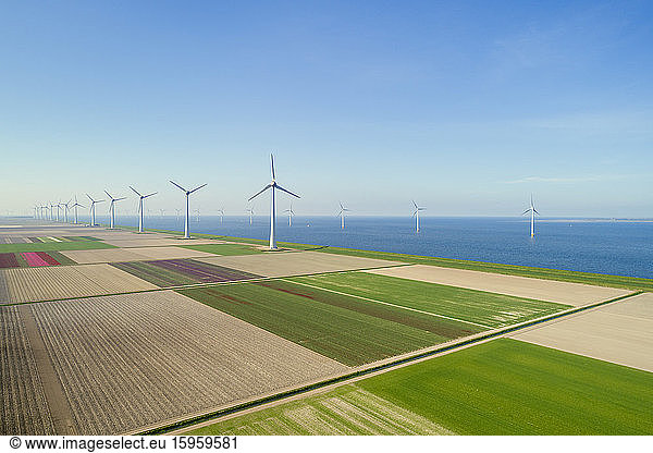 Early morning view of wind turbines and spring fields in coastal area of The Netherlands.