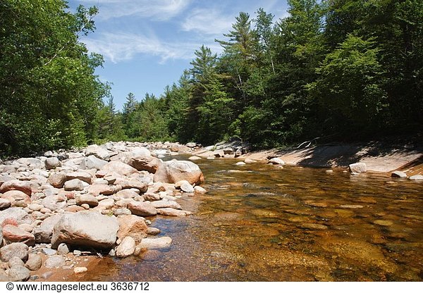 East Branch of the Pemigewasset River in the Pemigewasset Wilderness in Lincoln  New Hampshire USA This location is where a spur line from the East Branch & Lincoln Railroad crossed to the east side of the river This was a Logging Railroad which operate