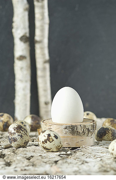 Easter egg in egg cup with Quail eggs