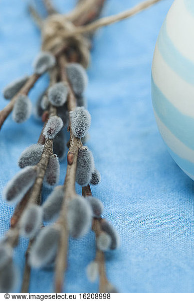 Easter eggs with pussy willow twigs on cloth