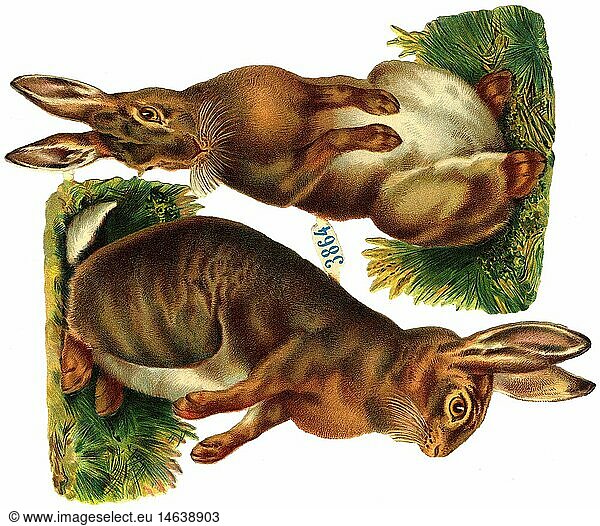 Easter  two Easter bunnies  scrap-picture  lithograph  Germany  circa 1925
