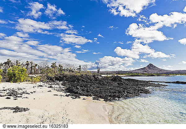 Ecuador  Galapagos Islands  Santa Cruz  seafront and volcano in the background