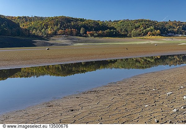 Edersee  aufgrund der Trockenheit auf weniger als ein Viertel seiner üblichen Wassermenge reduziert  Naturpark Edersee  Nationalpark Kellerwald-Edersee  Waldeck  Hessen  Deutschland  Europa