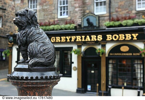 Edinburgh  Old Town  Scottisher Pub  life-size statue of Greyfriars Bobby  monument to the faithful dog in front of the pub of the same name  Scotland  Great Britain