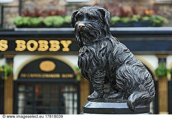 Edinburgh  Old Town  Scottisher Pub  life-size statue of Greyfriars Bobby  monument to the faithful dog in front of the pub of the same name  Scotland  Great Britain