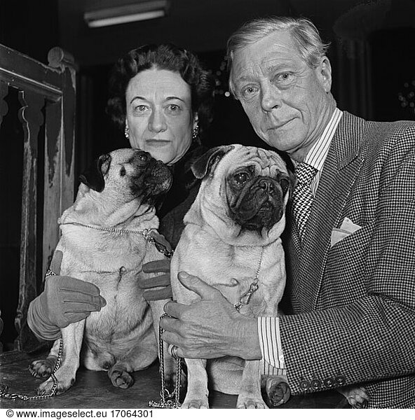 Edward VIII  King of Great Britain (Jan-Dec. 1936)  thereafter Duke of Windsor.
White Lodge 23.6.1894 – Paris 28.5.1972.
– The Duke of Windsor with consort Wallis Warfield-Simpson with pugs “Davy Crocket and “Goldengleam Trooper at an International dog show at the Salle Wagram in Paris  France.
Photo  30.11.1956.
