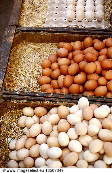 Eggs for sale in Fes