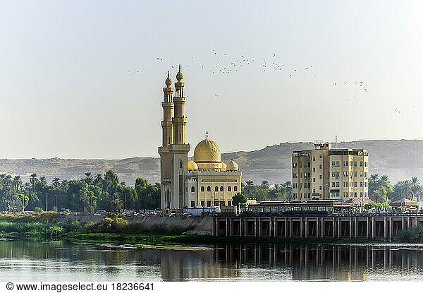 Egypt  Aswan Governorate  Aswan  Bank of Nile with El-Tabia Mosque in background