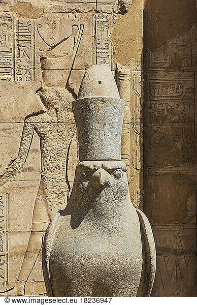 Egypt  Aswan Governorate  Edfu  Falcon sculpture at Temple of Edfu