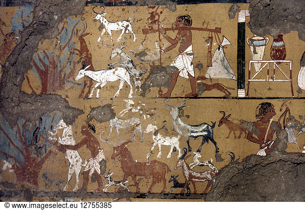EGYPTIAN TOMB PAINTING. The transport of water and raising of goats. Tomb painting,  19th Dynasty.