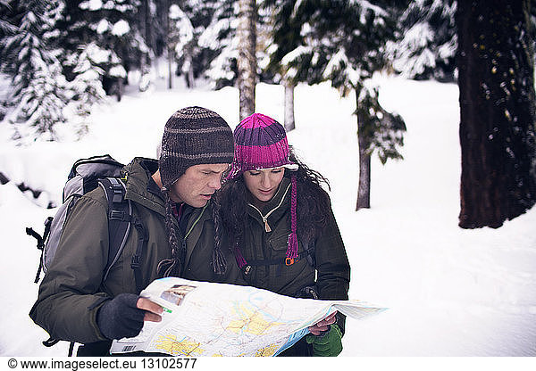 Ehepaar betrachtet Karte im Wald