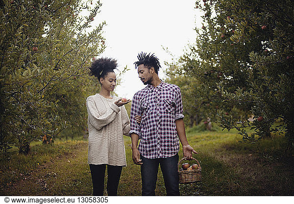 Ehepaar steht im Apfelgarten