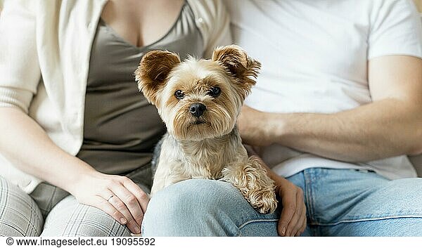 Ehepaar und ihr Hund