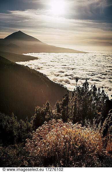 Ehrfurcht vor der Landschaft mit Wolkenlandschaft im Nationalpark El Teide  Teneriffa  Spanien