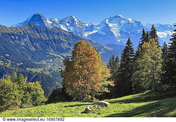 Eiger  3970 m  Mönch  4107 m  Jungfrau  4158 m  Berner Oberland  Schweiz  Europa