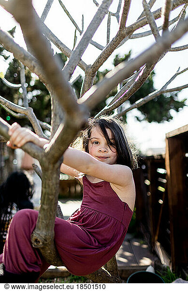 Eight Year Old Girl in Plumeria Tree in San Diego