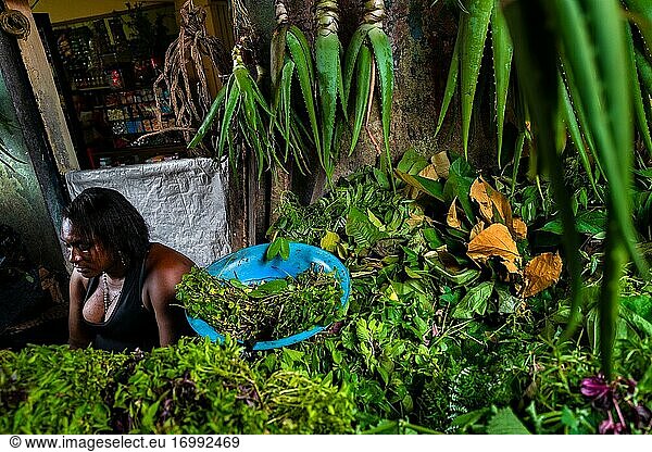 Ein afrokolumbianischer Verkäufer verkauft Heilkräuter und Aloe-Vera-Pflanzen auf einem Straßenmarkt am Fluss Atrato in Quibd?  Choc?  in der Pazifikregion Kolumbiens.