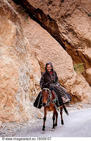 Ein Berber auf einem Pferd reitet durch die M'Goun-Schlucht Amghar n M'goun Amazigh-Gebiet  Südmarokko  Afrika.