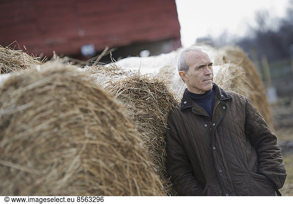 Ein Bio-Bauernhof im Winter. Ein Mann steht neben großen Heuballen.