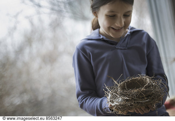 Ein Bio-Bauernhof im Winter im Bundesstaat New York  USA. Ein junges Mädchen hält ein aus Zweigen und Blättern geflochtenes Vogelnest in der Hand.
