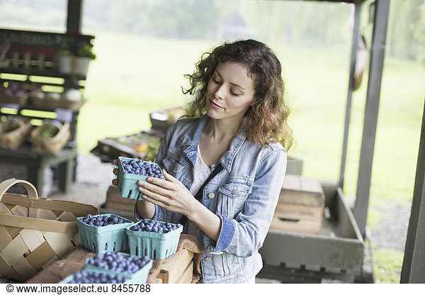 Ein biologischer Obst- und Gemüsebetrieb. Eine Frau sortiert Körbchen mit Blaubeeren.