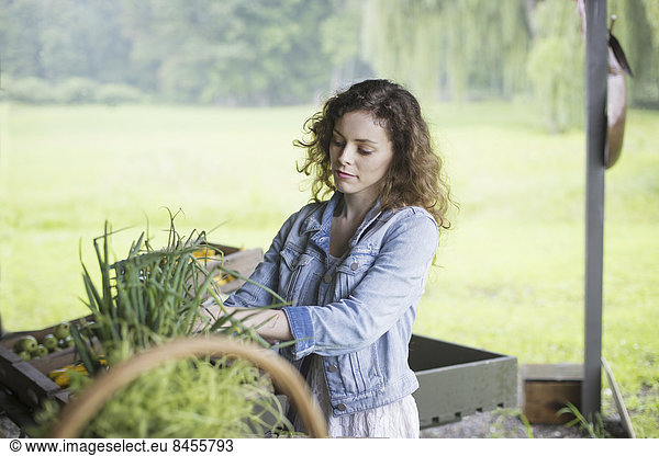 Ein biologischer Obst- und Gemüsebetrieb. Eine junge Frau sortiert Gemüse.