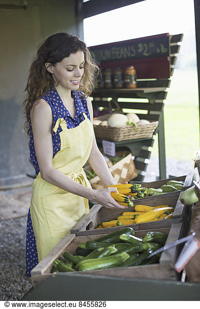 Ein biologischer Obst- und Gemüsebetrieb. Eine junge Frau sortiert Gemüse.