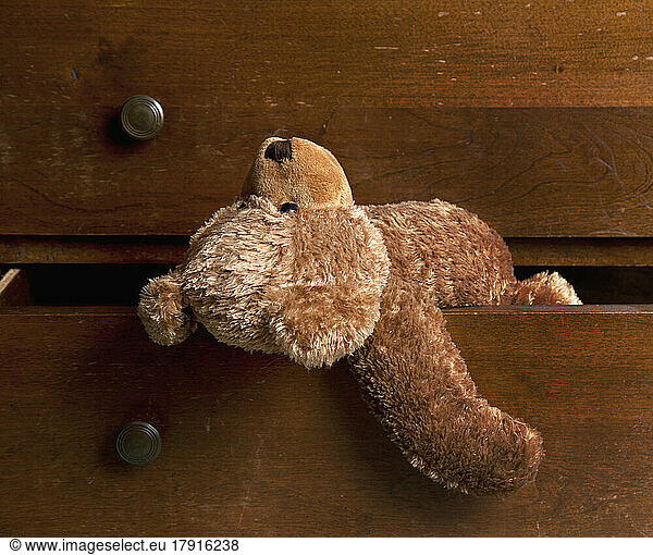 Ein brauner Plüschteddybär für Kinder hängt aus einer Schublade.