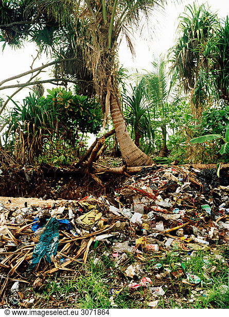 Ein Dump in der Natur Polynesien.