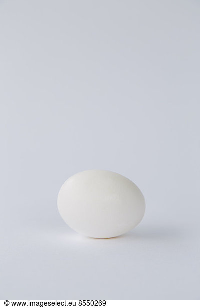 Ein einzelnes Bio-Ei aus Freilandhaltung mit einer weißen Schale vor weißem Hintergrund.