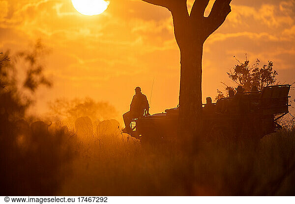 Ein Fahrzeug geht auf eine Pirschfahrt bei Sonnenuntergang  Silhouette