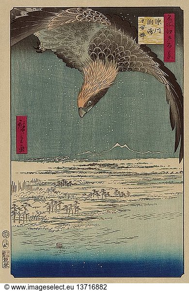 Ein Falke fliegt über einer Schneelandschaft an der Küste. 1857