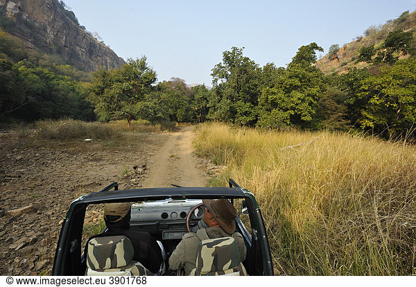 Ein Geländewagen in den Dschungeln des Ranthambore Nationalparks  Rajasthan  Indien  Asien