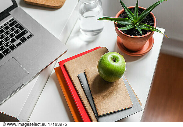Ein grüner Apfel  Notizbücher  eine Aloe-Pflanze  ein Glas Wasser  ein Laptop
