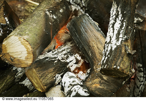 Ein Holzfeuer in einer Feuergrube  mit glühender Glut.