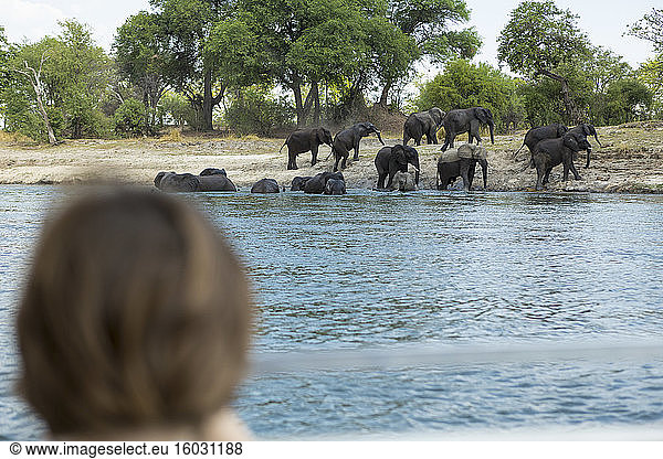 Ein Junge beobachtet  wie eine Elefantenherde zu einem Wasserloch hinunterkommt.