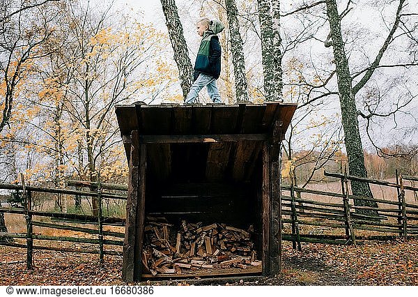 Ein Junge stand auf einem mit Holz gefüllten Schuppen im Wald.