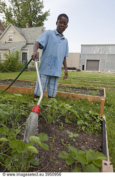Ein Junge wässert einen Garten  der von Kindern im Alter von 5-11 Jahren gepflegt wird  in einem Programm namens Growing Healthy Kids  in einem Earthworks Urban Garden Garten  in dem Nahrung für die Capuchin Soup Kitchen Suppenküche angebaut wird  Detroit  Michigan  USA