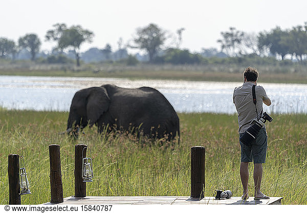 ein junger Mann fotografiert einen Elefanten  der sich in einem Feuchtgebiet ernährt